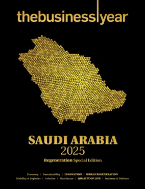 Cover of The Business Year