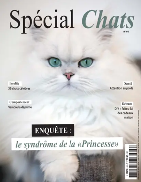 Cover of Special Chats