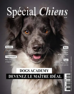 Cover of Special Chiens