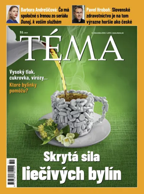 Cover of Téma