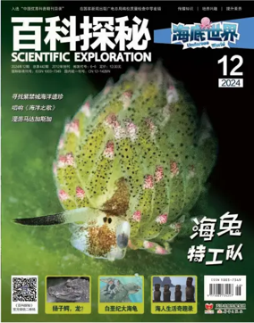 Cover of Scientific Exploration (Undersea World)