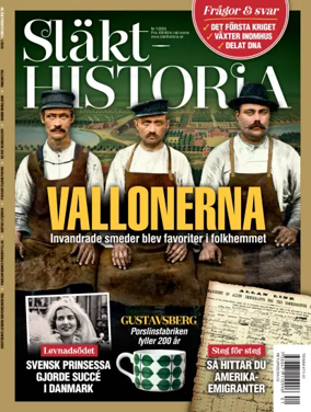 Cover of Släkthistoria
