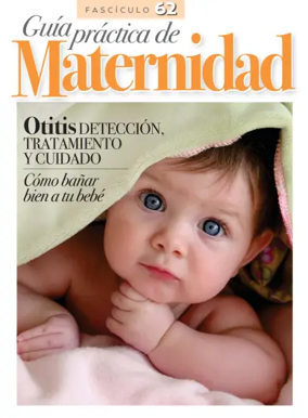 Cover of Guia Practica de Maternidad