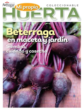 Cover of Huerta en casa