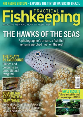 Cover of Practical Fishkeeping