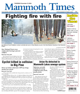 Cover of Mammoth Times