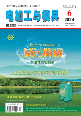 Cover of Electromachining and Mould