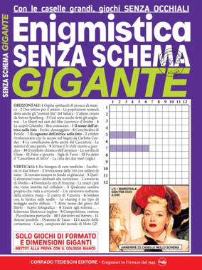 Cover of Enigmistica Senza Schema