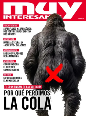 Cover of Muy Interesante