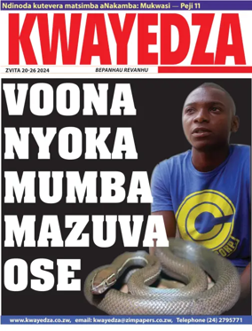 Cover of Kwayedza
