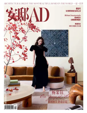 Cover of AD (China)