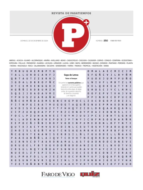 Cover of Pasatiempos