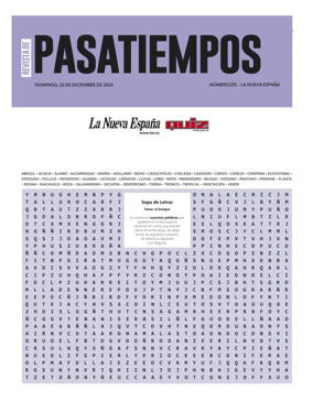 Cover of Pasatiempos | La Nueva España