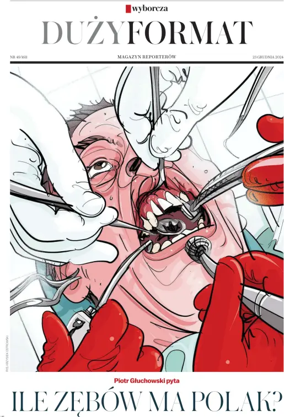 Cover of Duzy Format