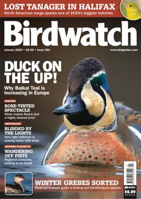 Cover of Birdwatch