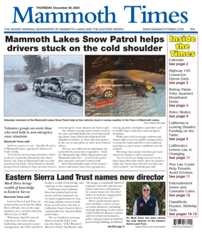 Cover of Mammoth Times