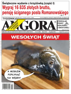 Cover of Angora