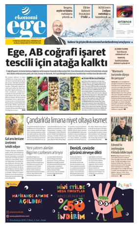 Cover of NBE - Ege Ekonomi