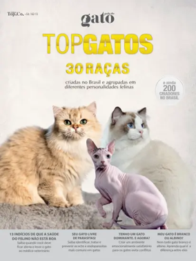Cover of Pulo do gato