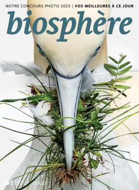 Cover of Biosphere