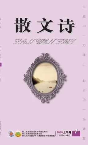 Cover of San Wen Shi