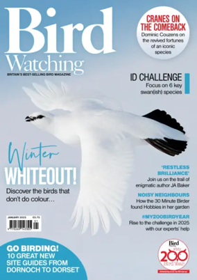 Cover of Bird Watching (UK)