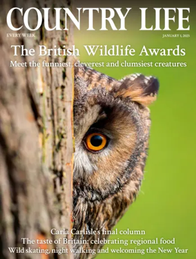 Cover of Country Life