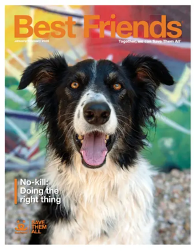 Cover of Best Friends