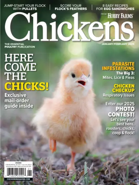 Cover of Chickens