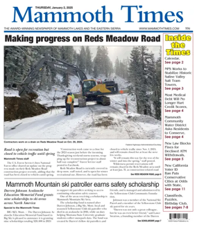 Cover of Mammoth Times
