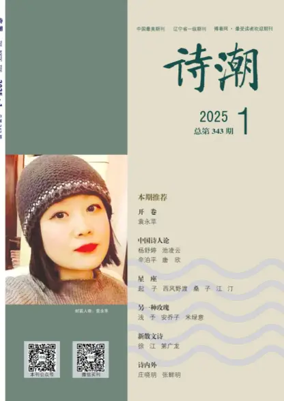 Cover of The Poetic Tide