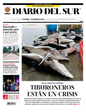 Cover of Diario del Sur