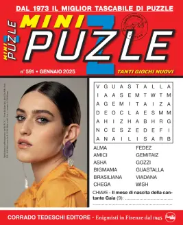 Cover of Mini Puzzle