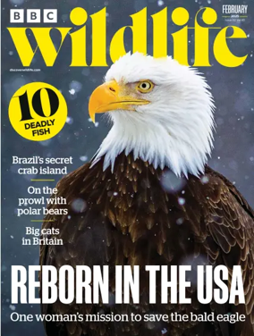 Cover of BBC Wildlife Magazine