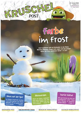 Cover of Kruschelpost