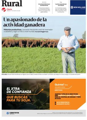 Cover of Rural