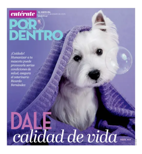 Cover of Por Dentro