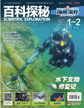 Cover of Scientific Exploration (Undersea World)