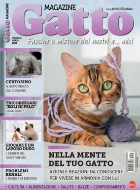 Cover of Gatto Magazine