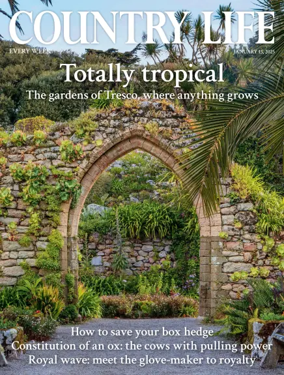 Cover of Country Life