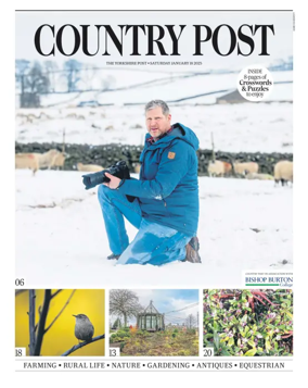 Cover of Country Week