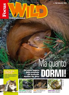 Cover of Focus Wild