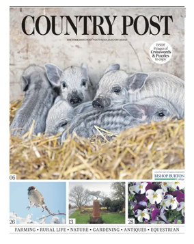 Cover of Country Week