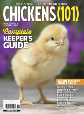 Cover of Chickens 101