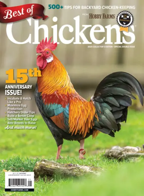 Cover of Chickens