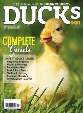 Cover of Ducks 101