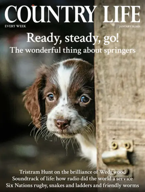 Cover of Country Life