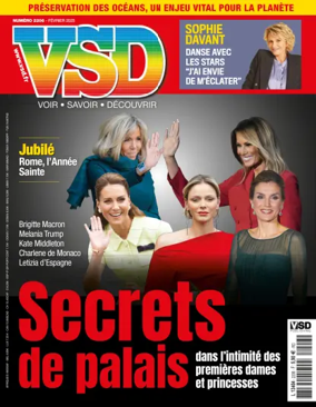 Cover of VSD