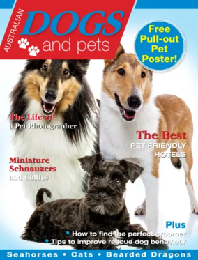 Cover of Dogs & Pets