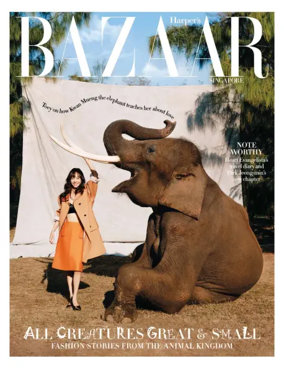 Cover of Harper's Bazaar (Singapore)